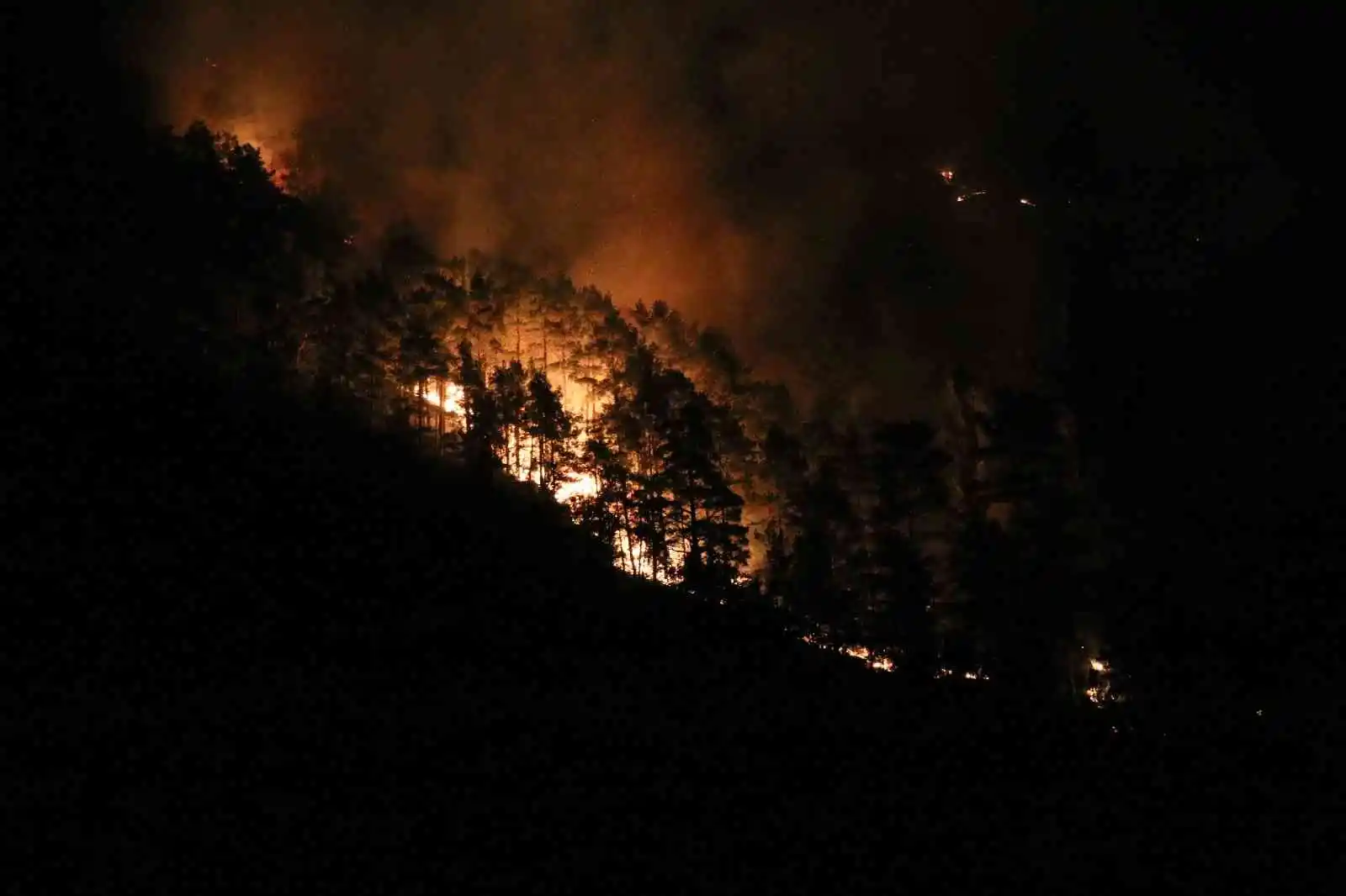 Alanya’daki orman yangınına yakın yerleşim yeri boşaltıldı
