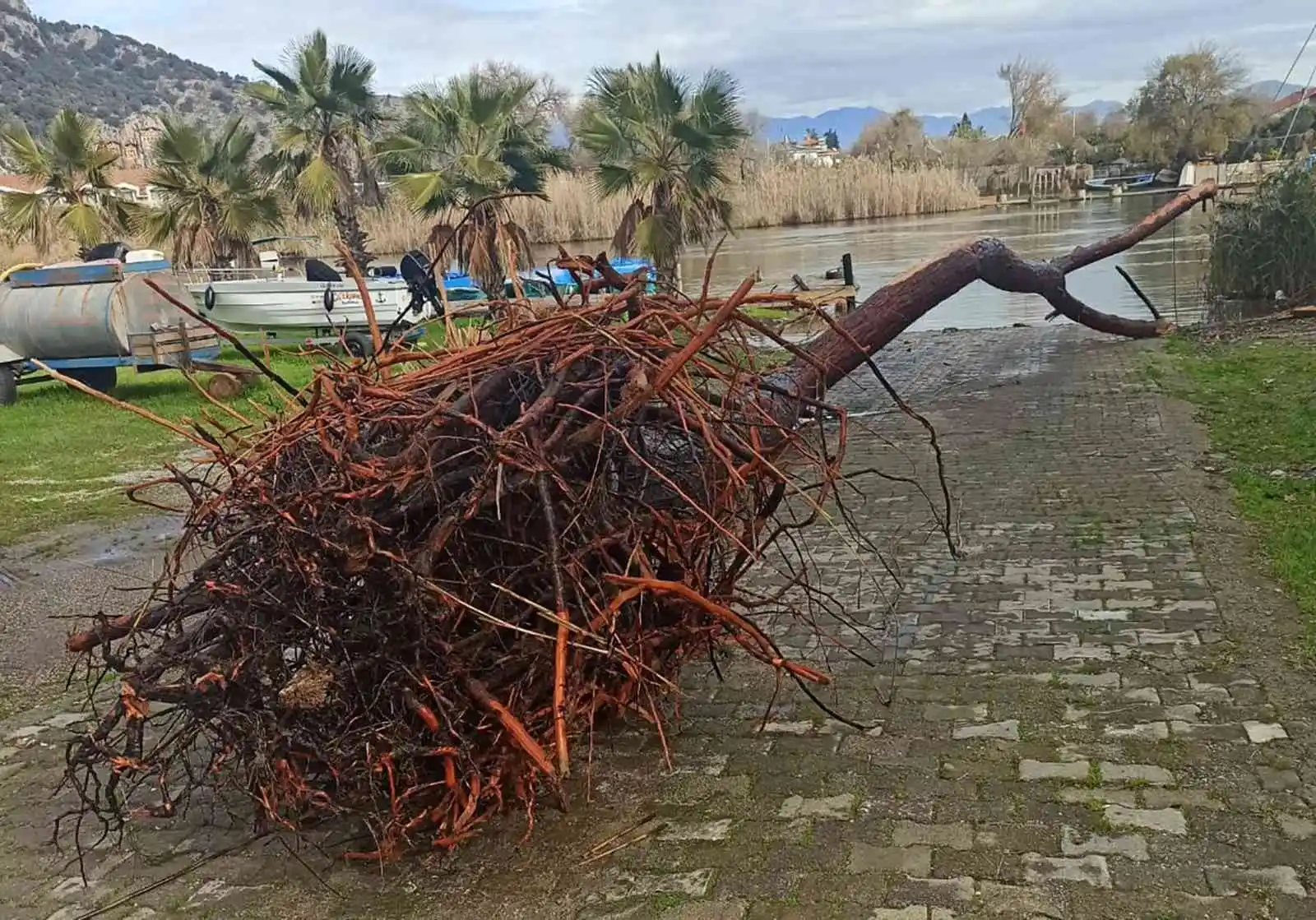 Atıklar, Köyceğiz Gölü ile Dalyan kanallarında tehlike oluşturuyor
