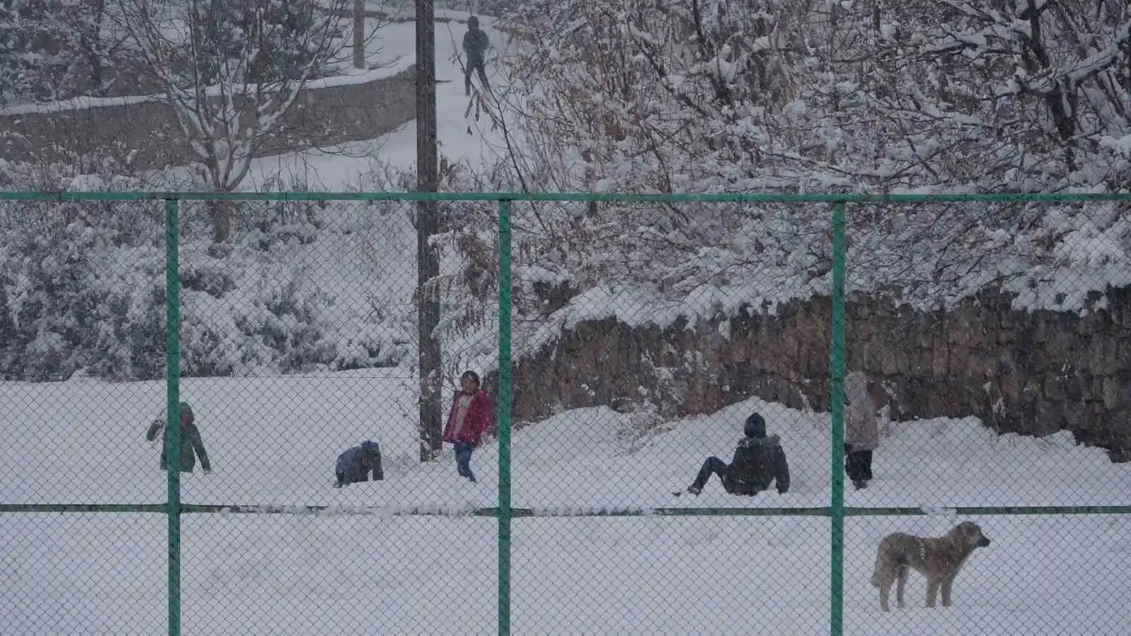 Bitlis’te çocuklar kayak keyfi yaşadı
