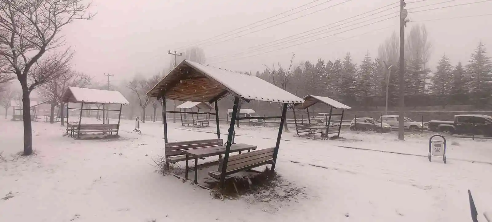 Bitlis'te kar yağışı etkili oldu
