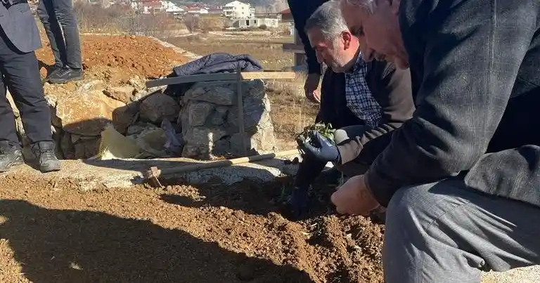 Çelikhan’da ‘salep’ deneniyor