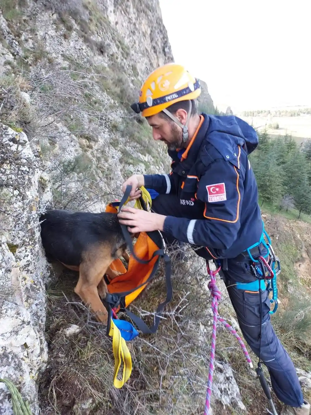 Dağlık alanda mahsur kalan köpek arama kurtarma ekiplerince kurtarıldı
