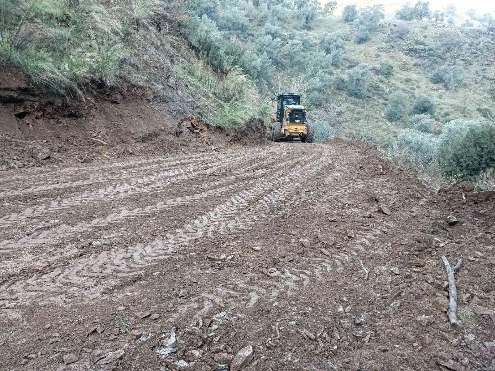 Efeler Belediyesi zeytin üreticilerine rahat bir nefes aldırdı