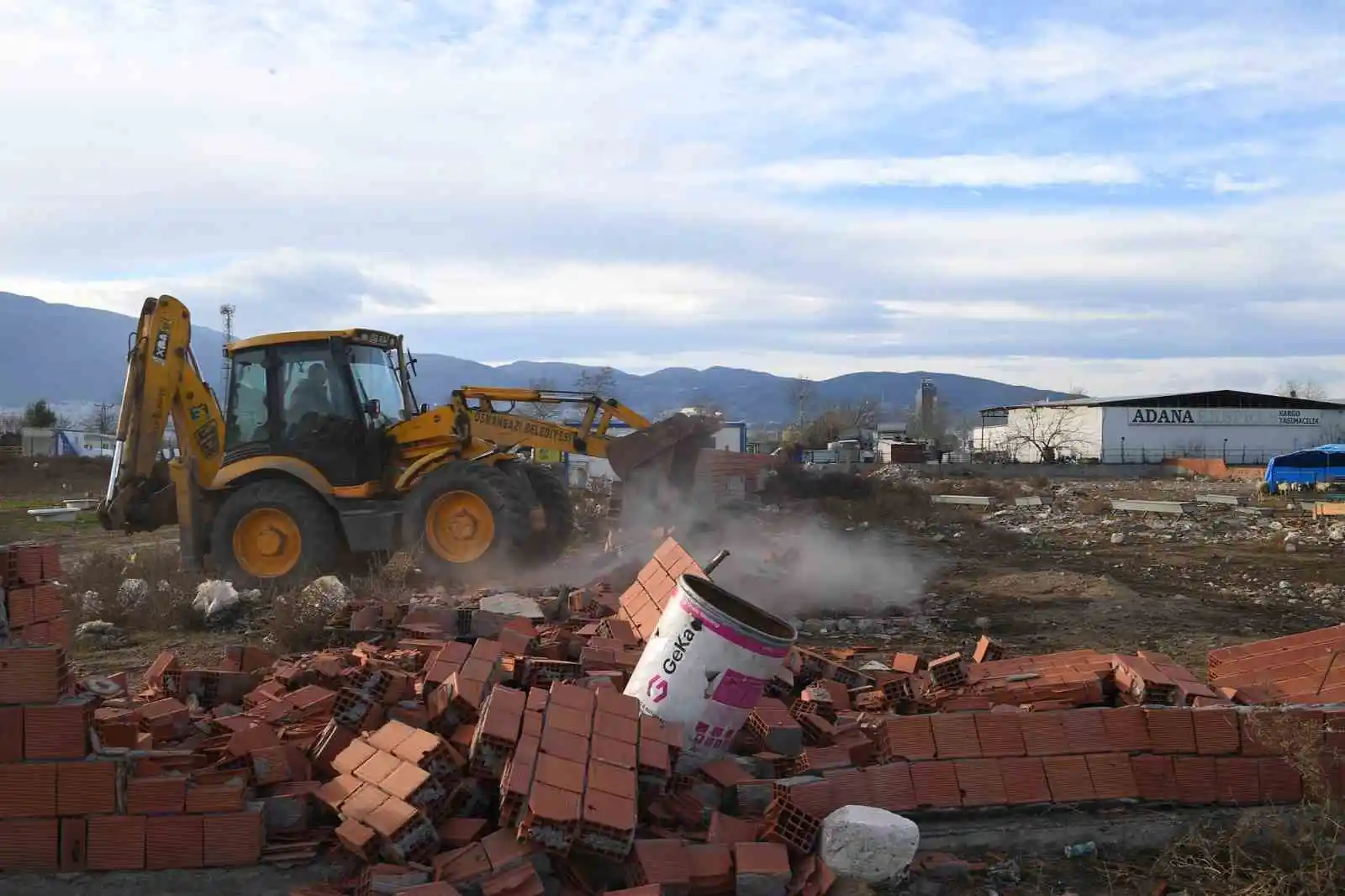 Ekili arazilere zarar veren koyunlara zabıta müdahale etti
