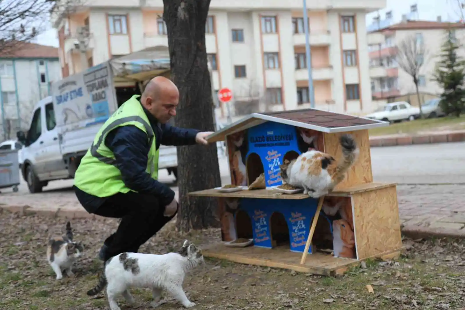 Elazığ Belediyesi, sokak hayvanlarını yalnız bırakmıyor
