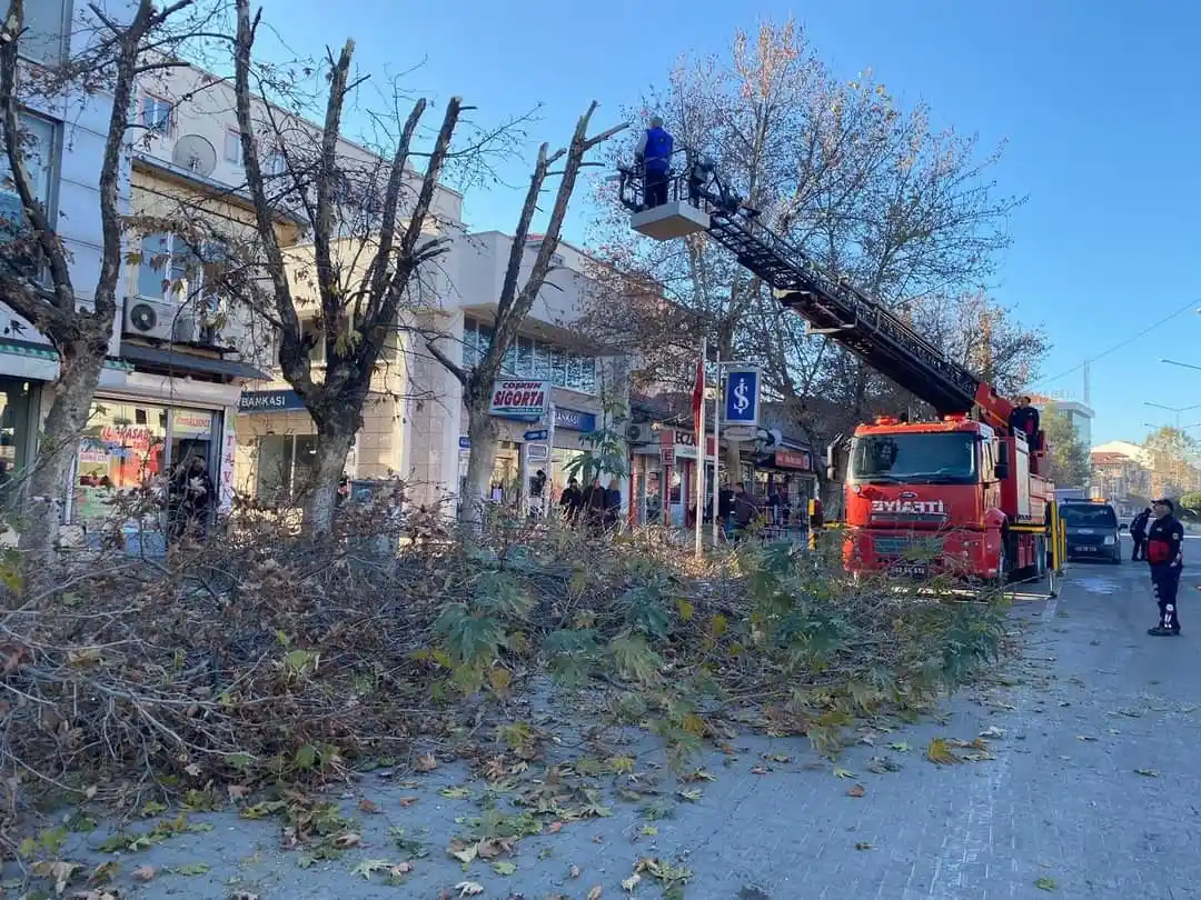 Gölbaşı'nda ağaçlar budanıyor