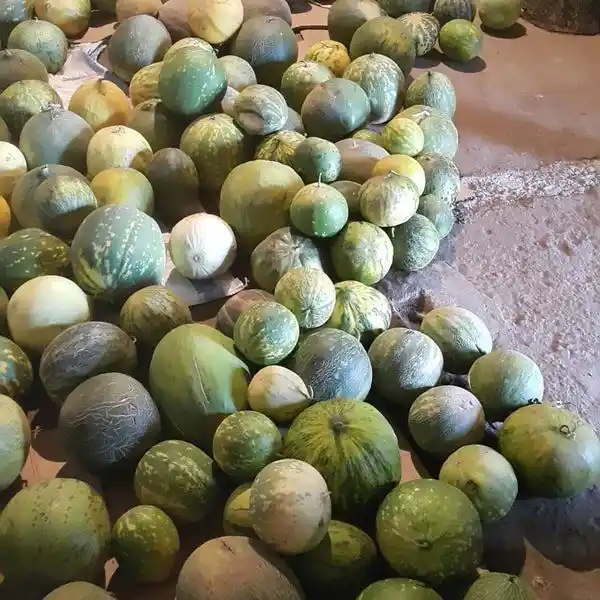 Karahallı Düğleği tescil aldı