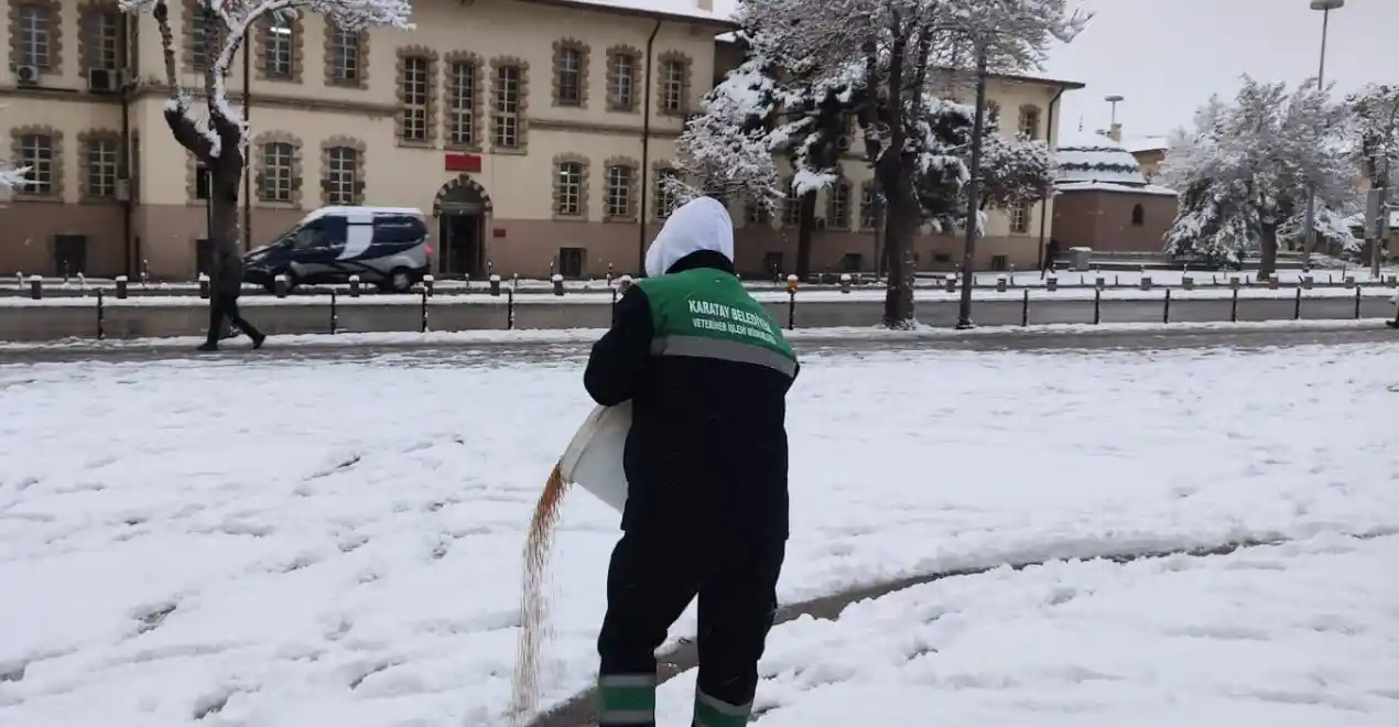 Karatay Belediyesi sokak hayvanlarını unutmadı
