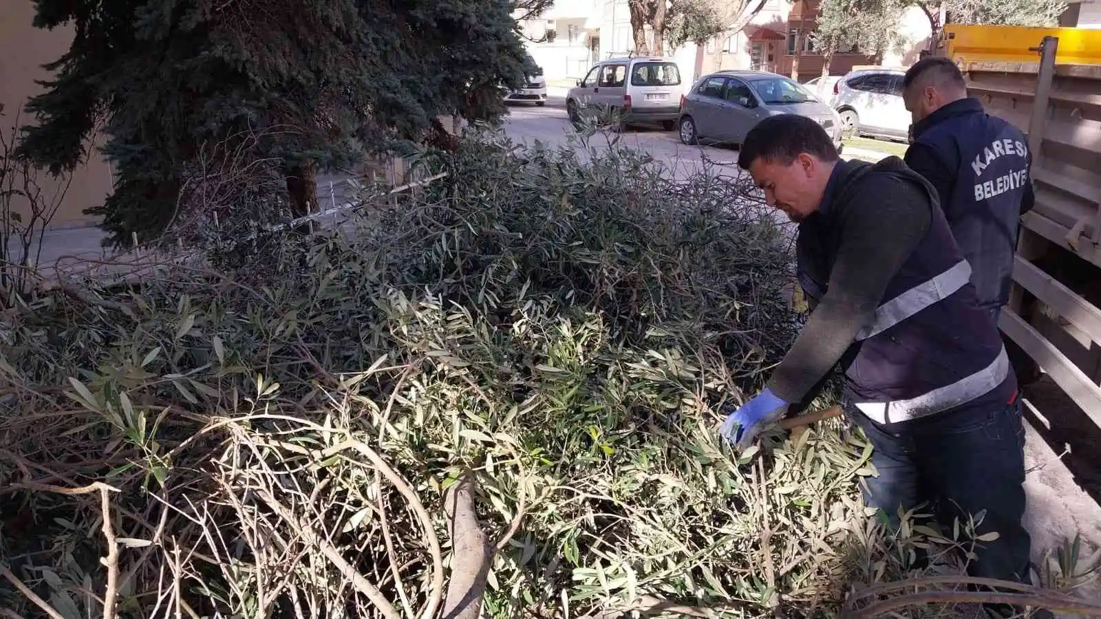 Karesi Belediyesi’nden ağaçlara kış bakımı
