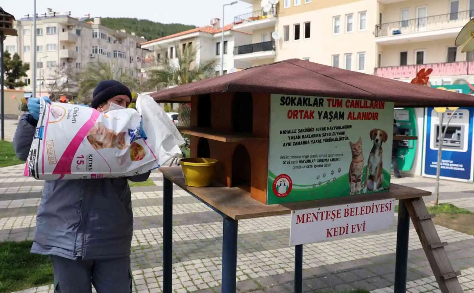 Menteşe Belediyesi sokaktaki can dostları unutmadı
