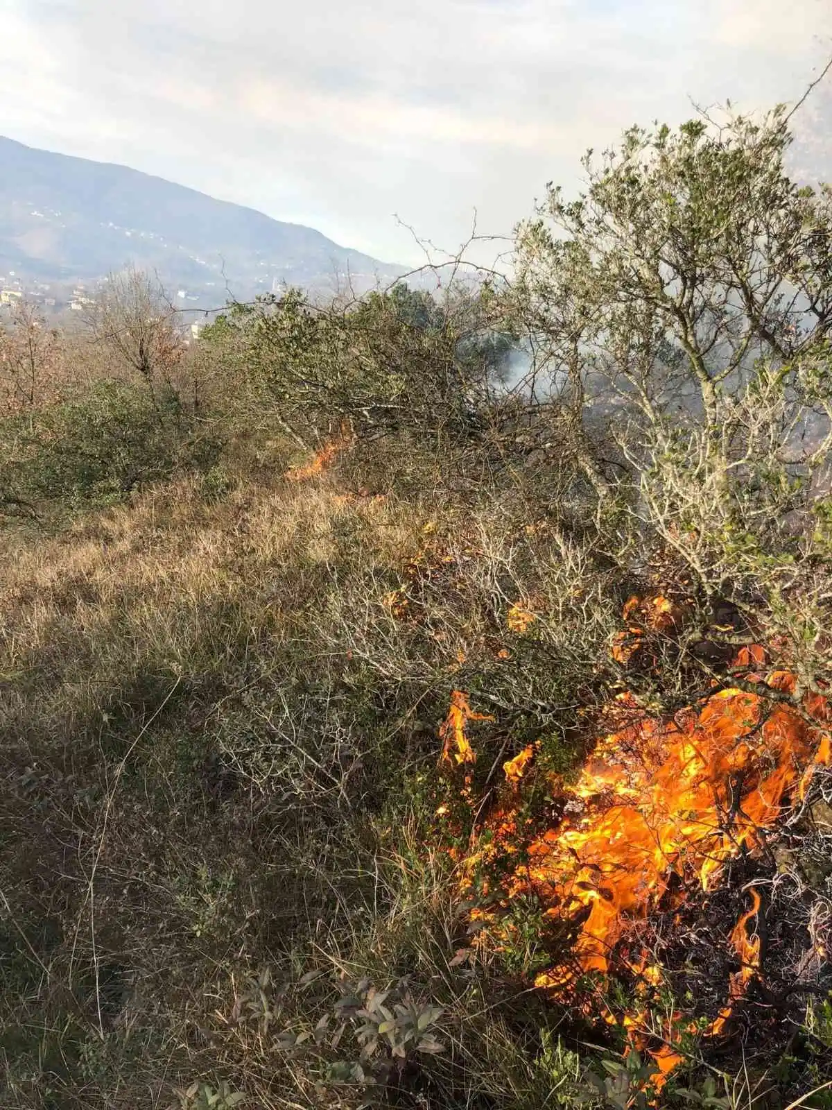 Orman yangını köylülerin müdahalesiyle söndürüldü
