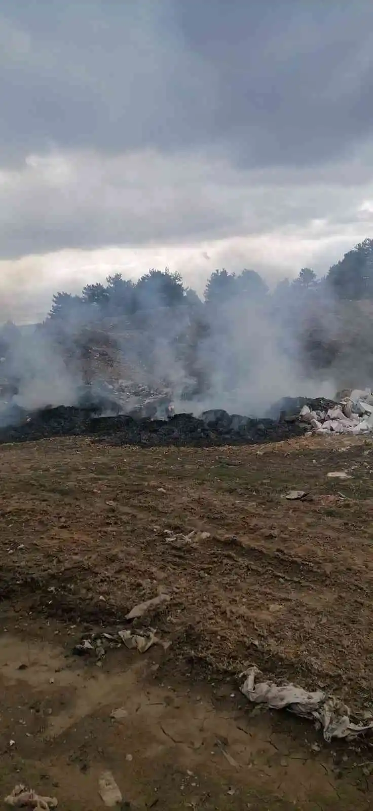Ormanda yanan çöpler ekipleri harekete geçirdi
