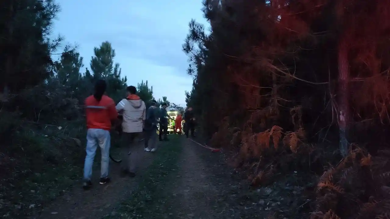 Sakarya’da orman yangını
