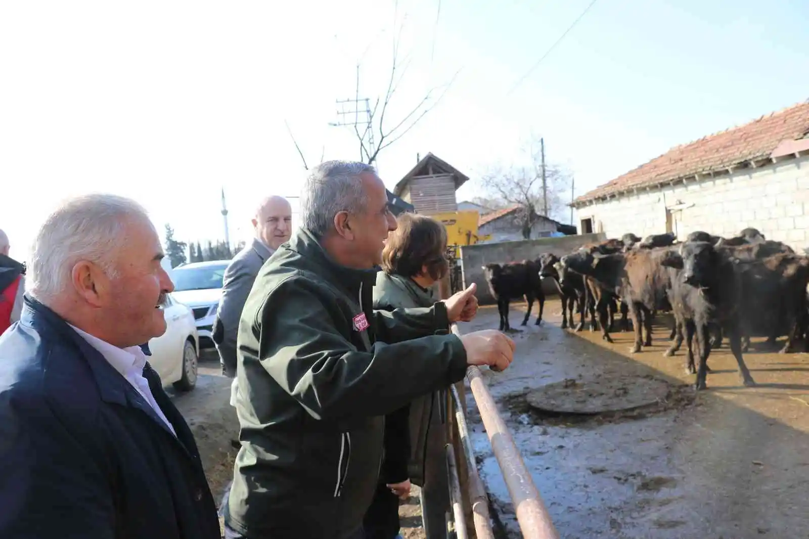 Samsun’da mandalara suni tohumlama projesi meyvelerini veriyor
