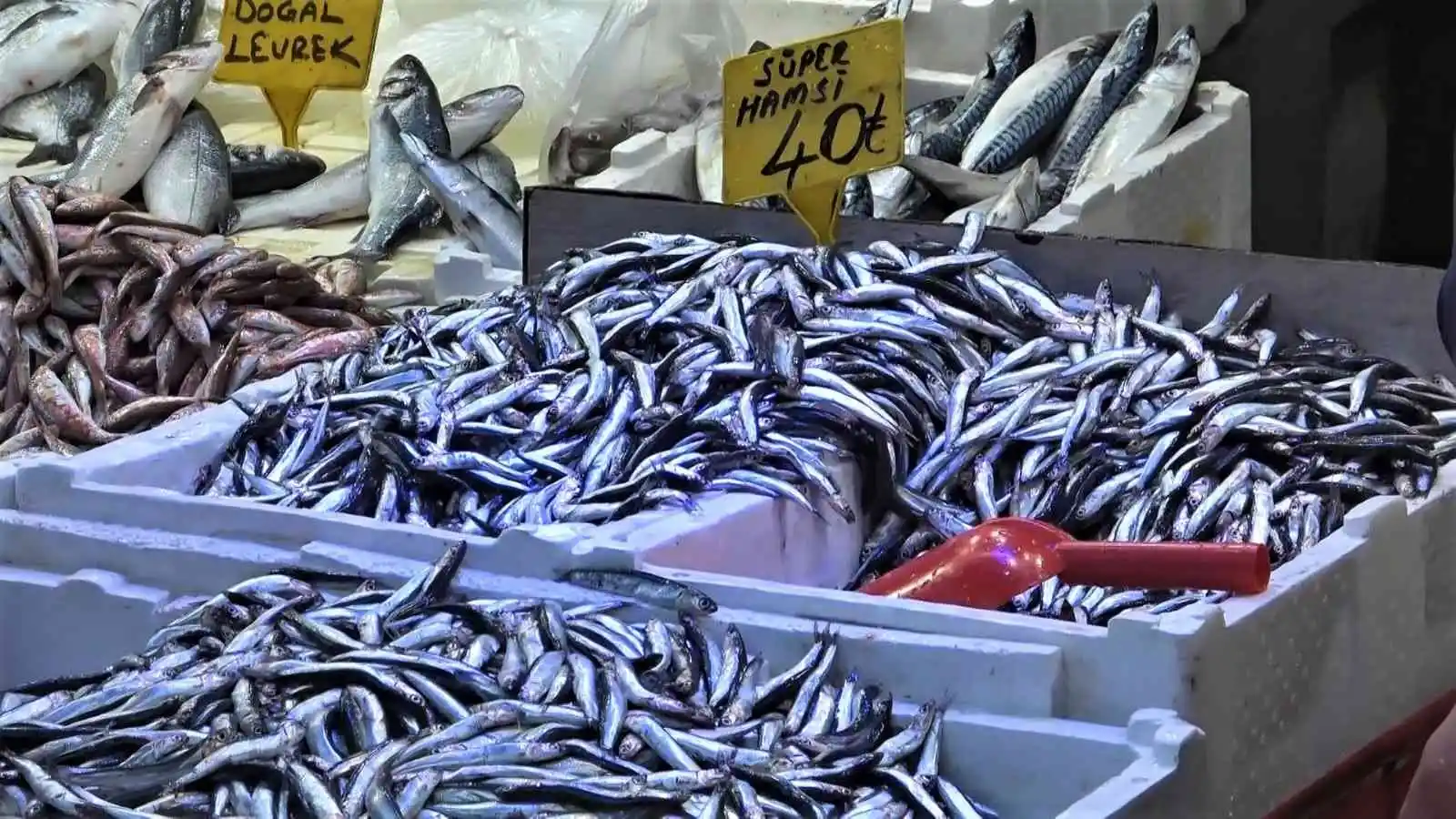 Sıcak hava balığı etkilemedi, balık bol, satışlar yoğun
