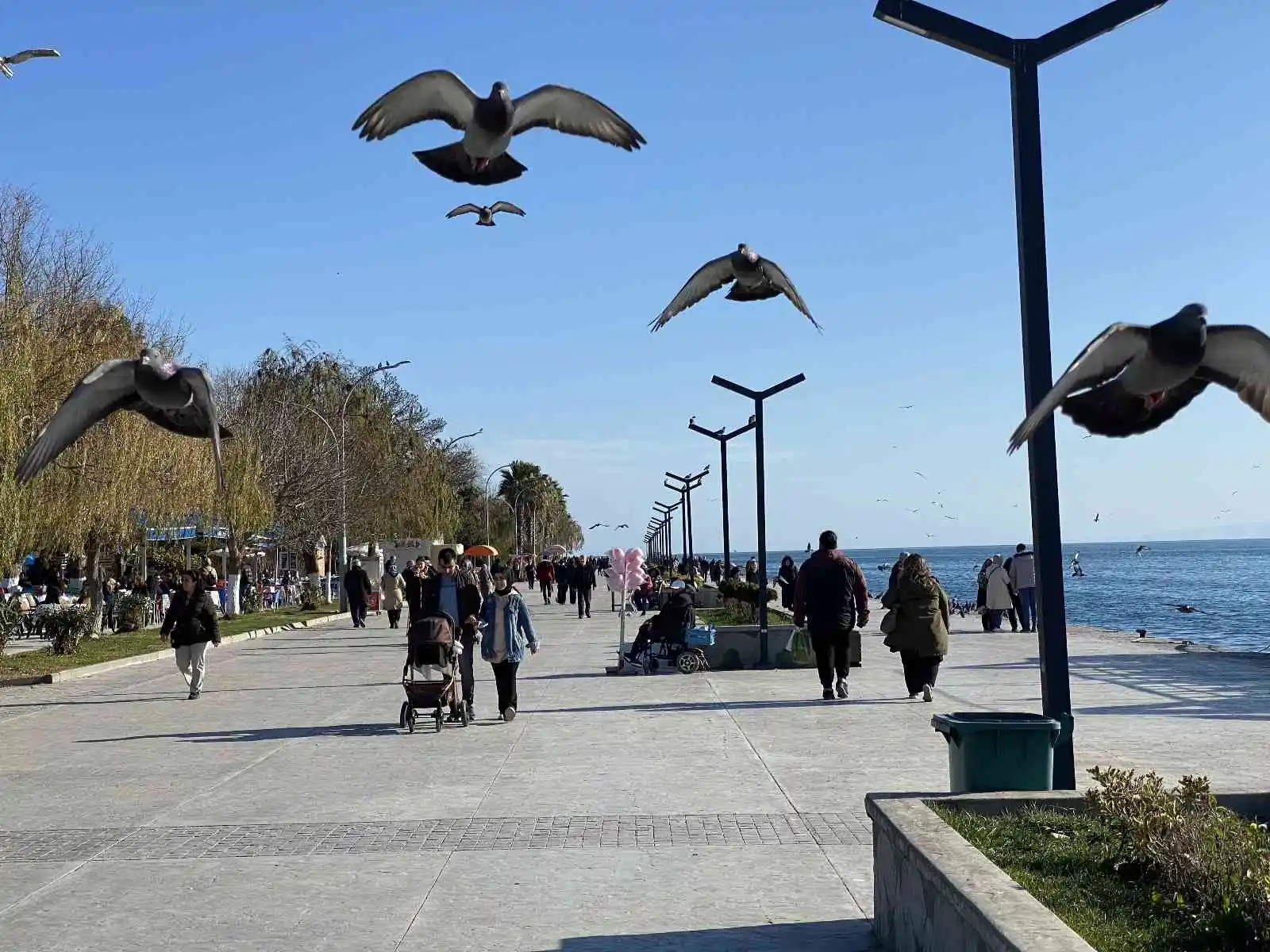 Sinop'ta kış ortasında yaz havası

