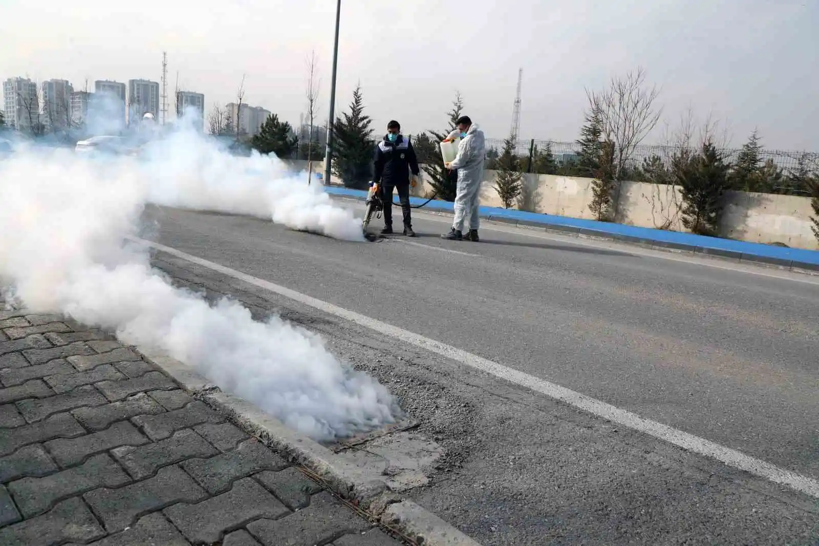 Talas'ta sinek ve haşerata erken önlem
