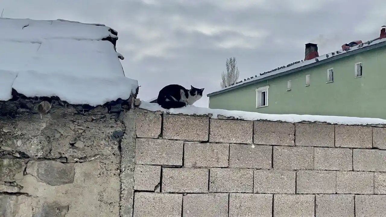 Ağrı, beyaz örtüsüyle göz kamaştırdı
