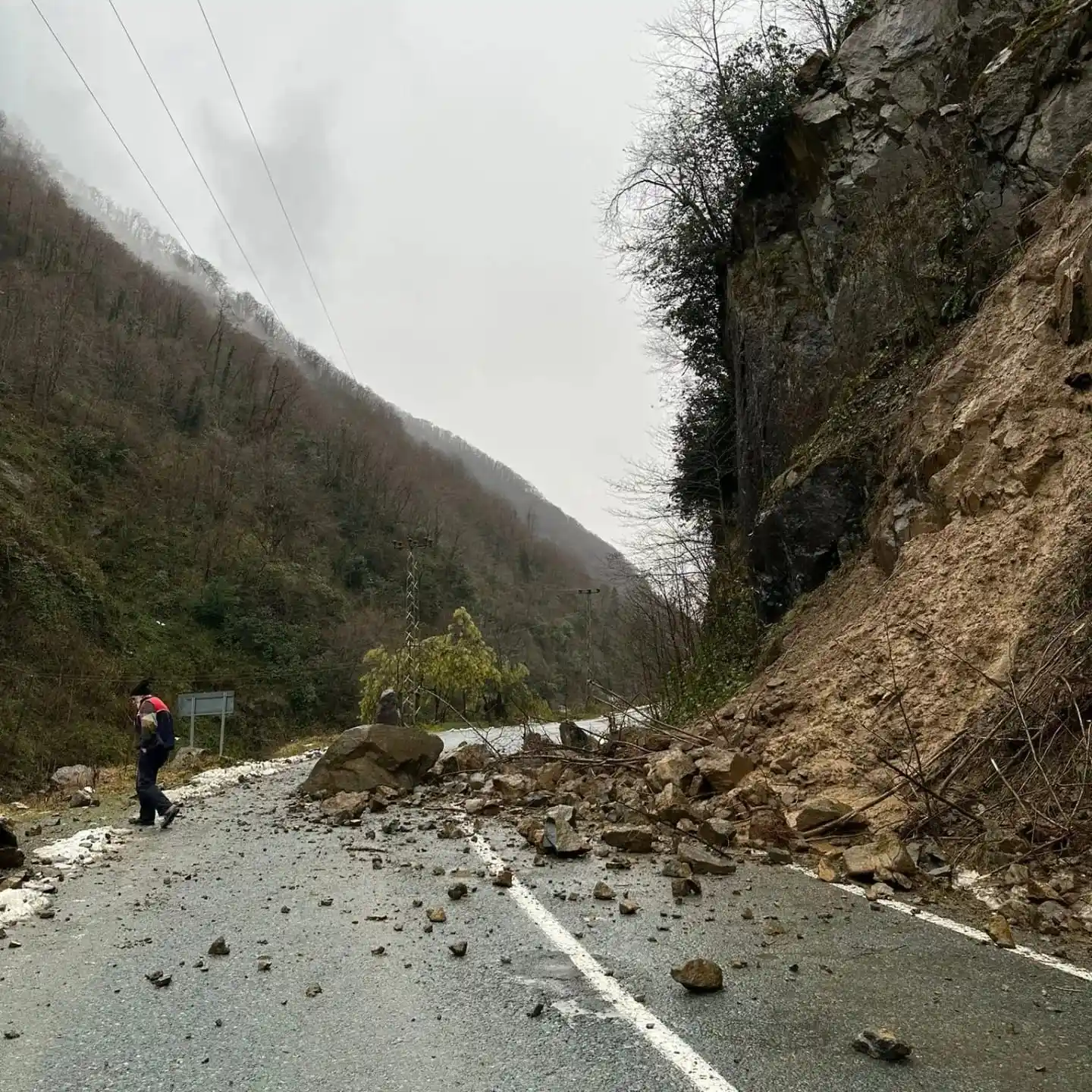 Artvin’de şiddetli yağış heyelanlara ve dere taşkınlarına neden oldu
