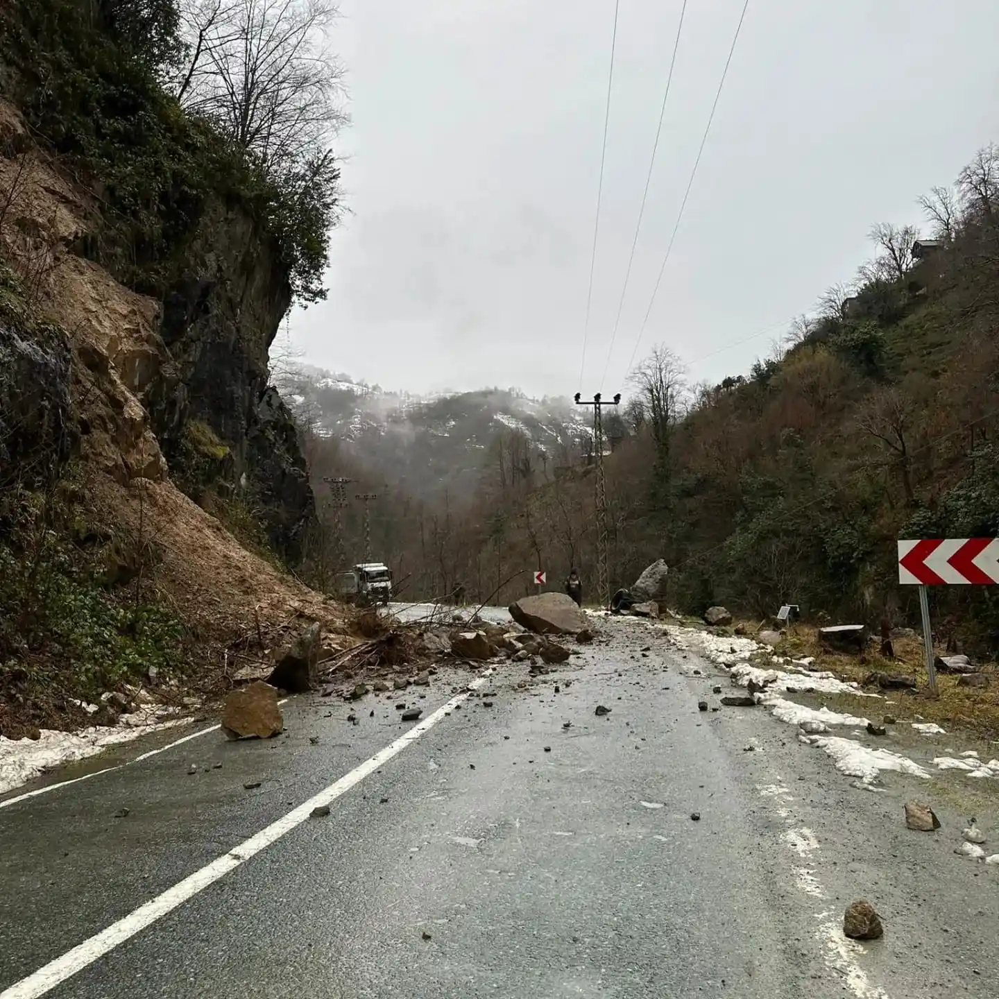 Artvin’de şiddetli yağış heyelanlara ve dere taşkınlarına neden oldu
