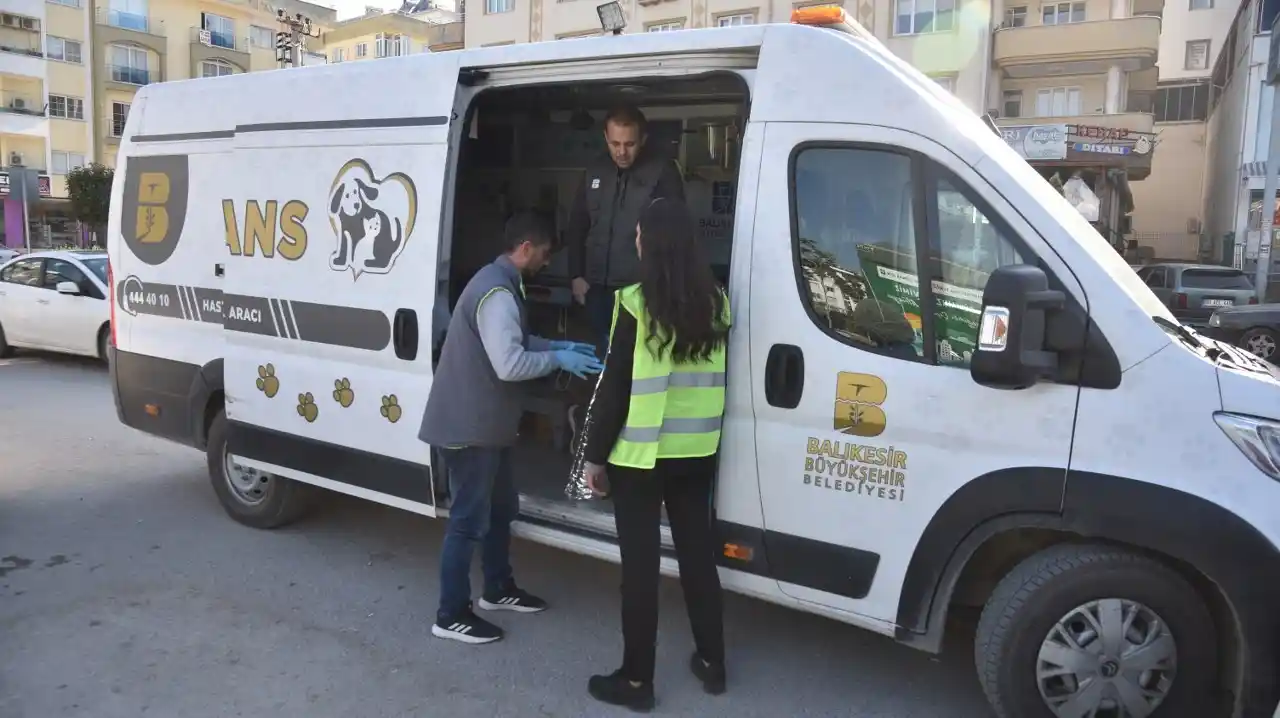 Asrın felaketinde sokak hayvanları unutulmadı
