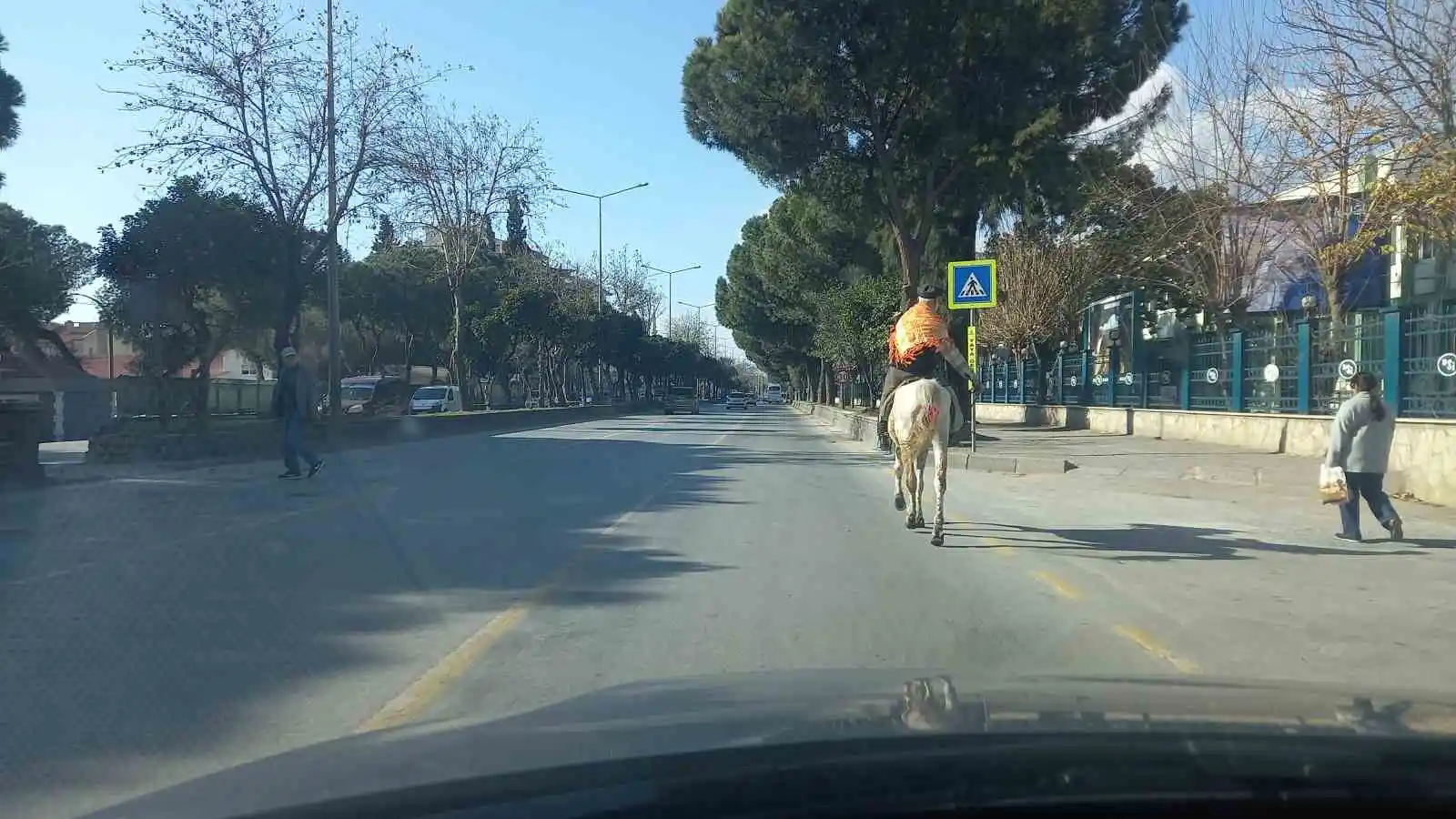 At sevdası için Cumhurbaşkanı ile görüşecek
