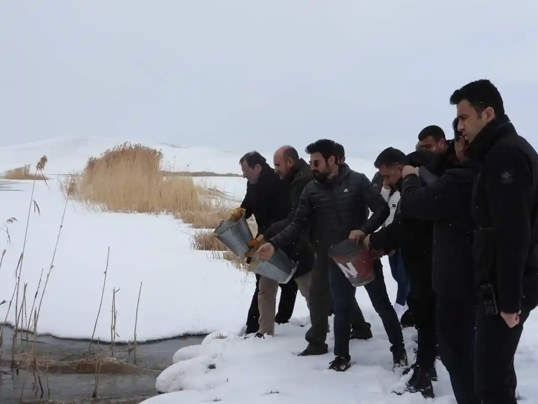 Çaldıran'da yaban hayvanları için sulak alanlara yem bırakıldı
