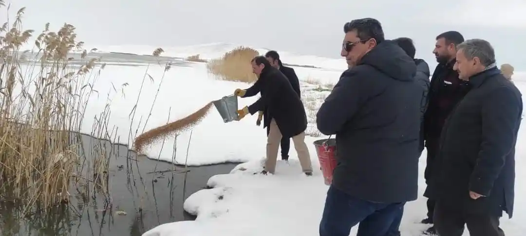 Çaldıran’da yaban hayvanları için sulak alanlara yem bırakıldı
