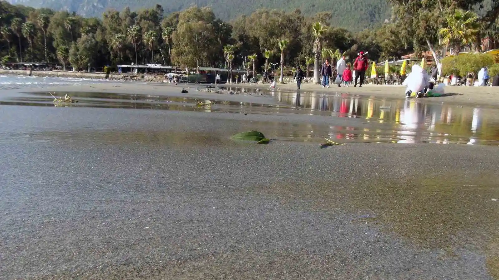 Deniz suyu 15 metre çekildi
