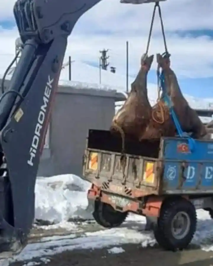 Doğanşehir Belediyesi depremzedelerin yanında
