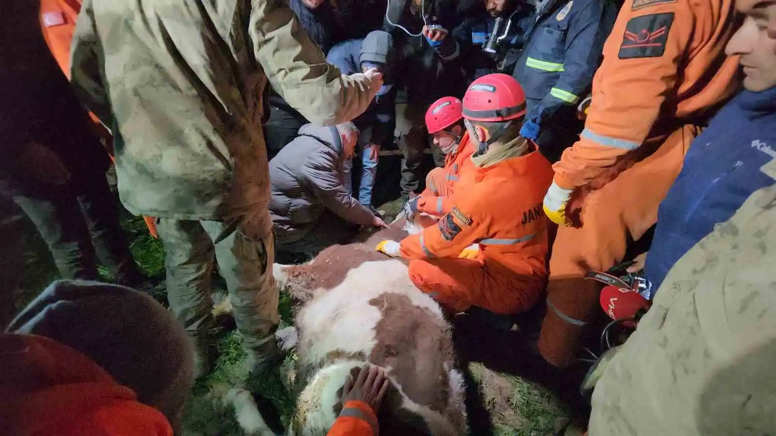 Günlerce enkaz altına sürünerek girip beslediği ineğine 11 gün sonra kavuştu
