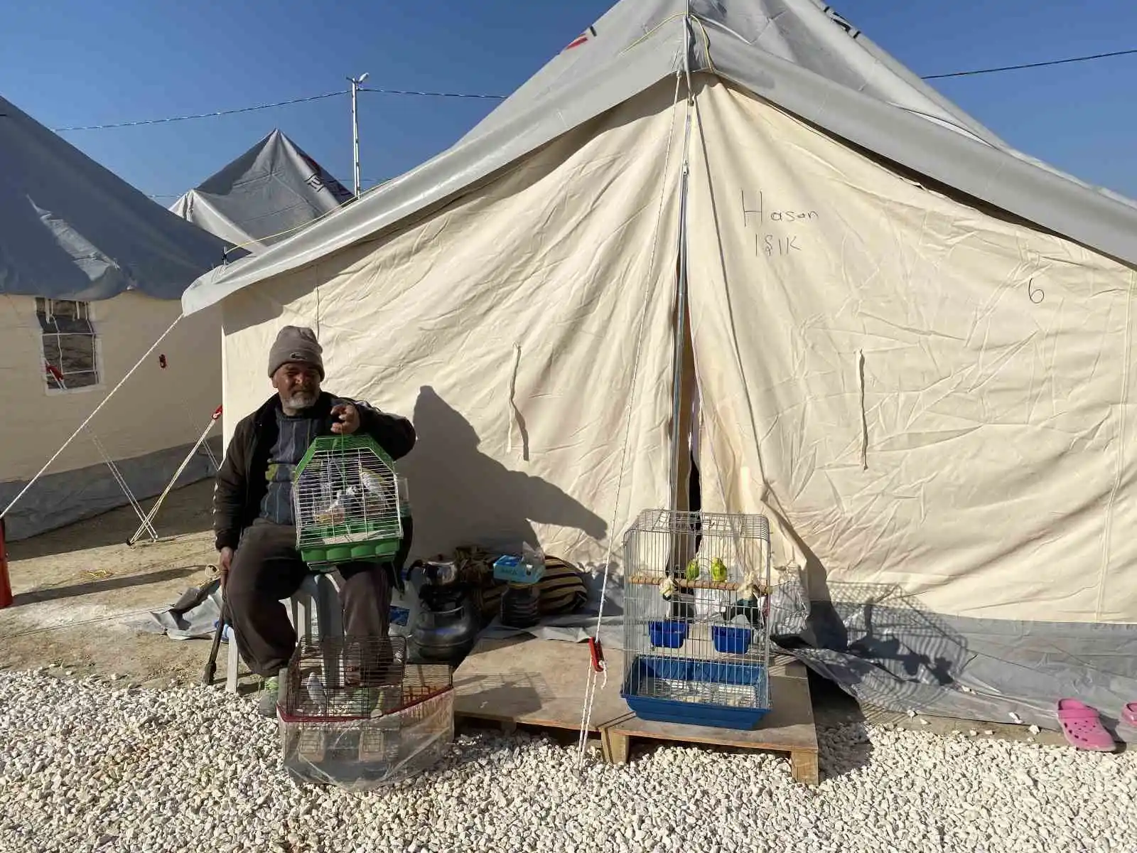 Hatay’da enkazdan kurtardığı kuşlarına çadır kentte bakıyor
