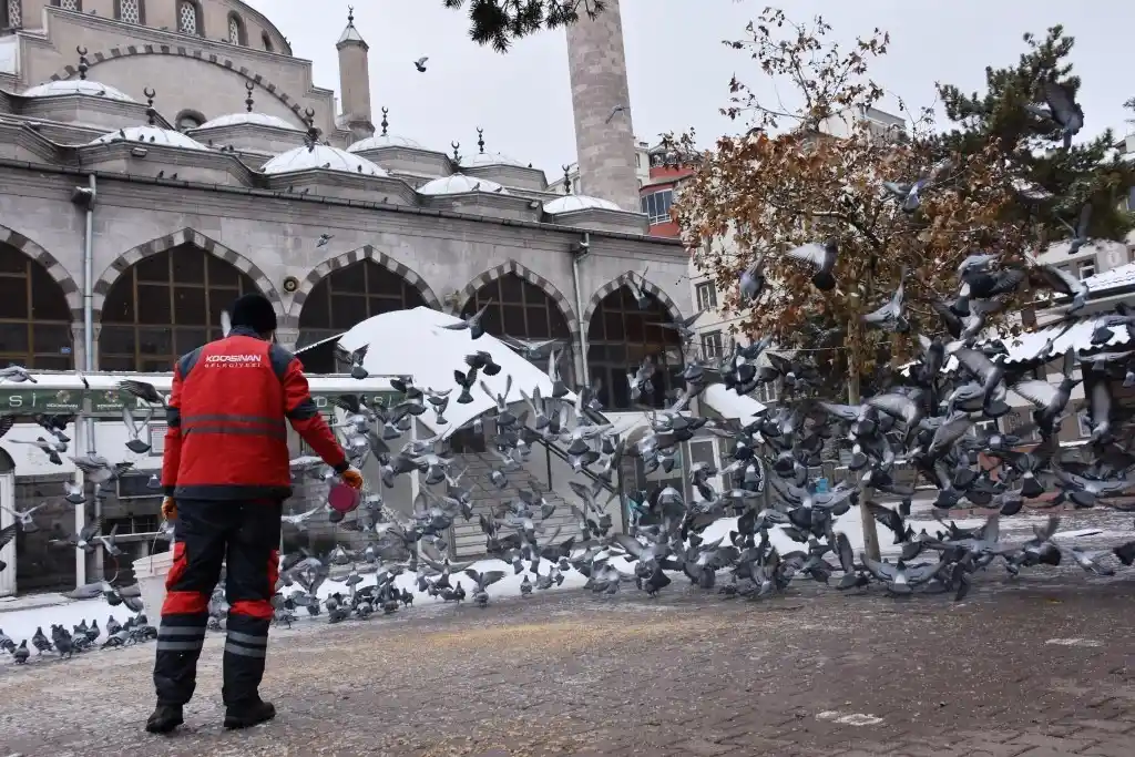 Kocasinan’dan Soğuk Havada Sokak Hayvanları İçin Yemleme Çalışması
