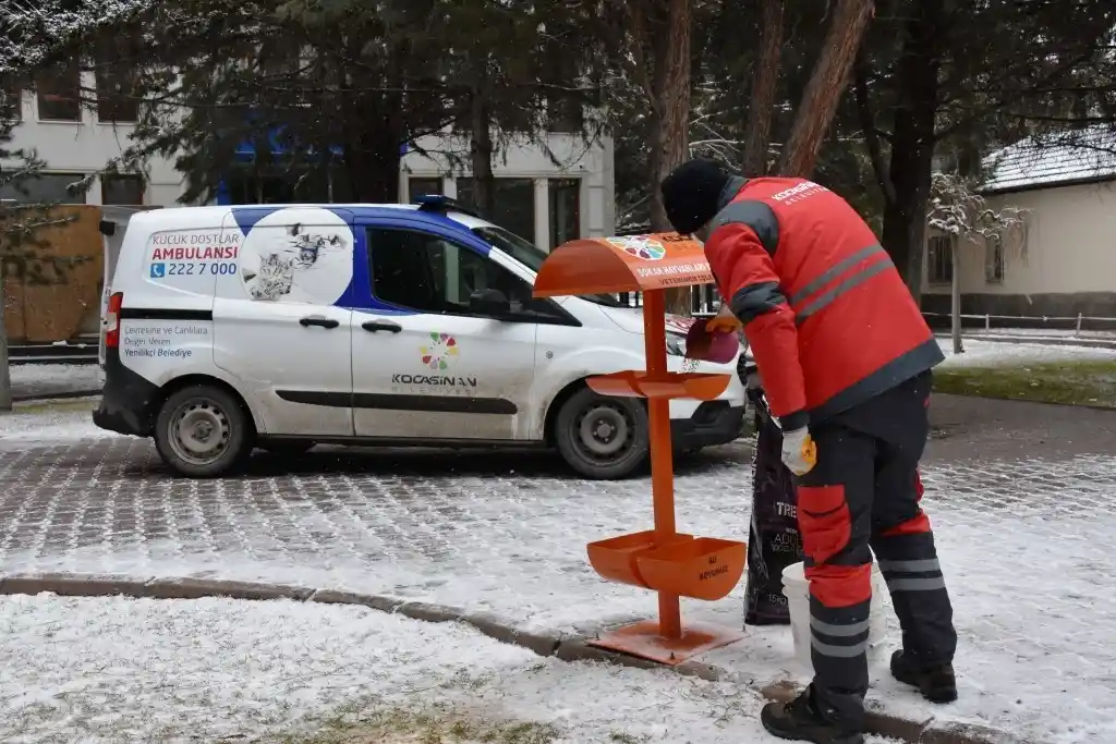 Kocasinan’dan Soğuk Havada Sokak Hayvanları İçin Yemleme Çalışması
