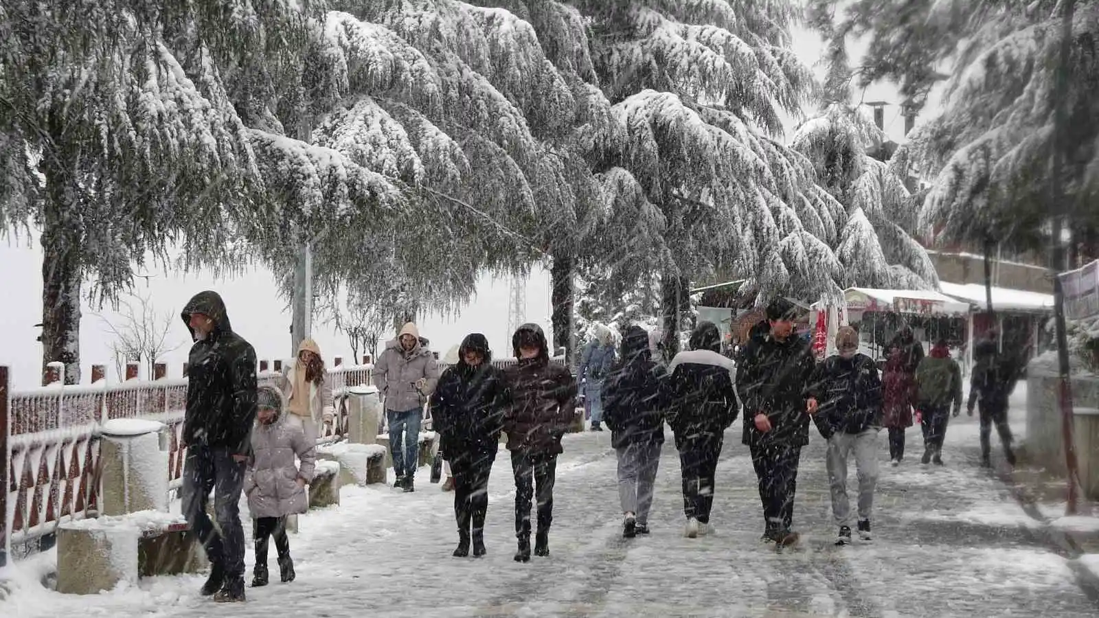 Ordu'da kar güzelliği: Boztepe beyaz gelinliğini giydi
