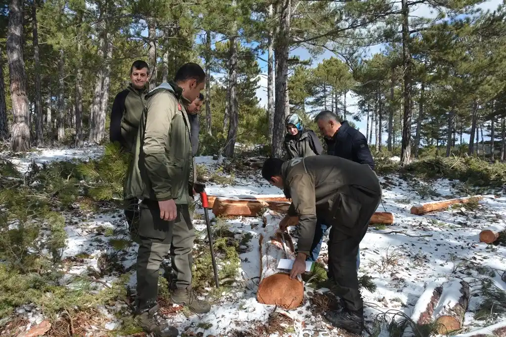 Orman Bölge Müdürü Dingil, “Kaliteli emval üretimi artırılacak”
