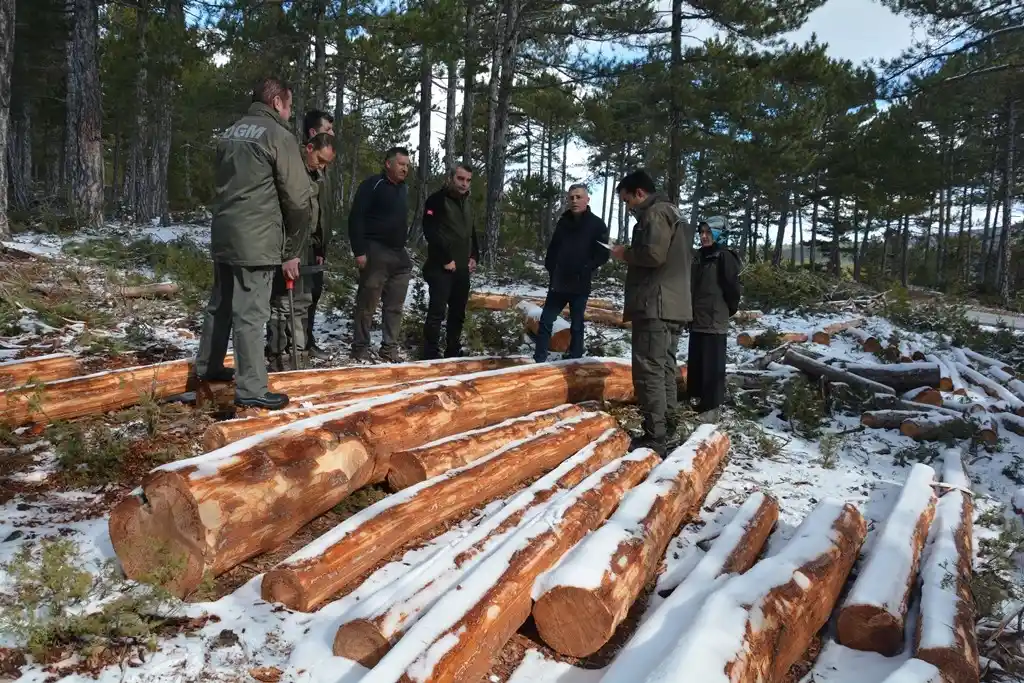 Orman Bölge Müdürü Dingil, “Kaliteli emval üretimi artırılacak”
