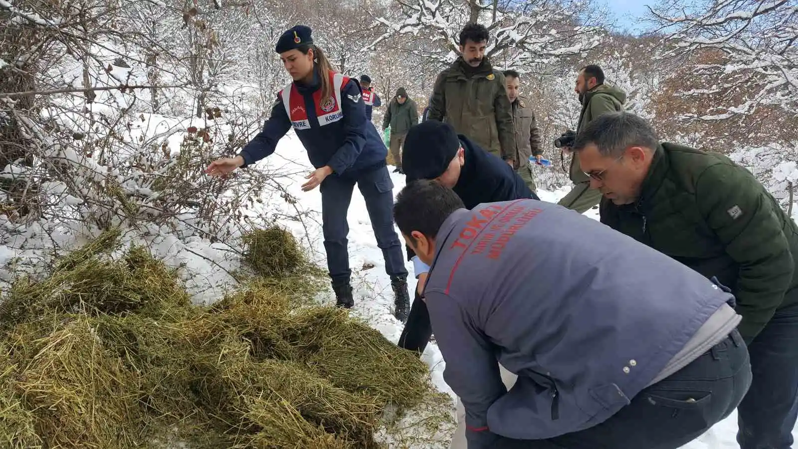 Yaban hayvanları unutulmadı
