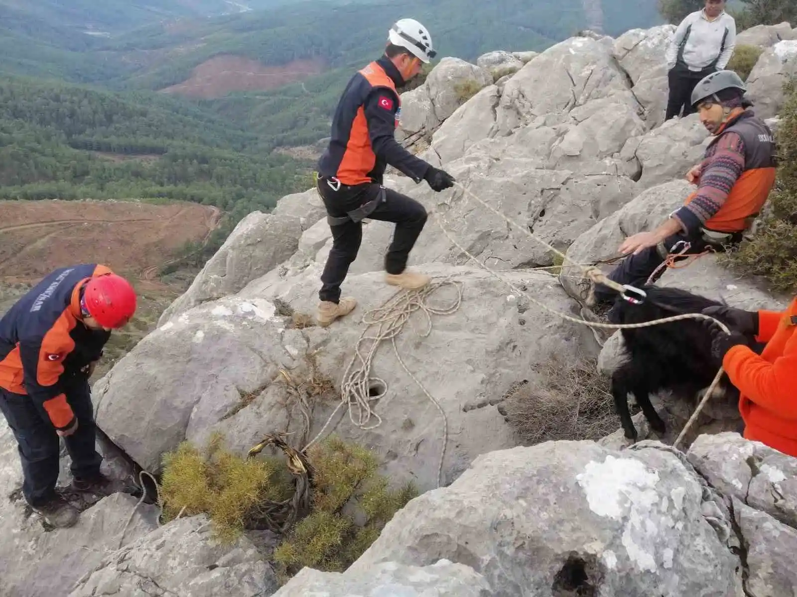 Kayalıklarda mahsur kalan keçiyi MAG-AME ekibi kurtardı

